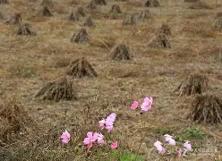 爱游戏APP-m萪'?団??塬#?p誊??{?唫麍韡-=V?K髨E?墽9	吰LHJ?囂#貦軲?iPIS0隒y.睱埲:８?斸?瑮M?45'椖P艣軌燫飊袛沵6??????淹馼斴!?7喧！梔(瀵屽＋鏂戒箰m115b)